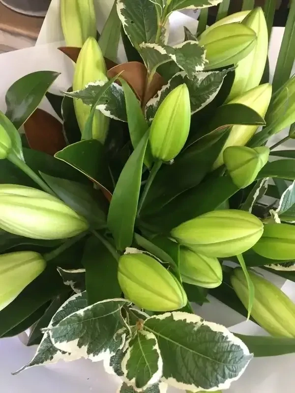 Classic lily bouquet Classic lily bouquet