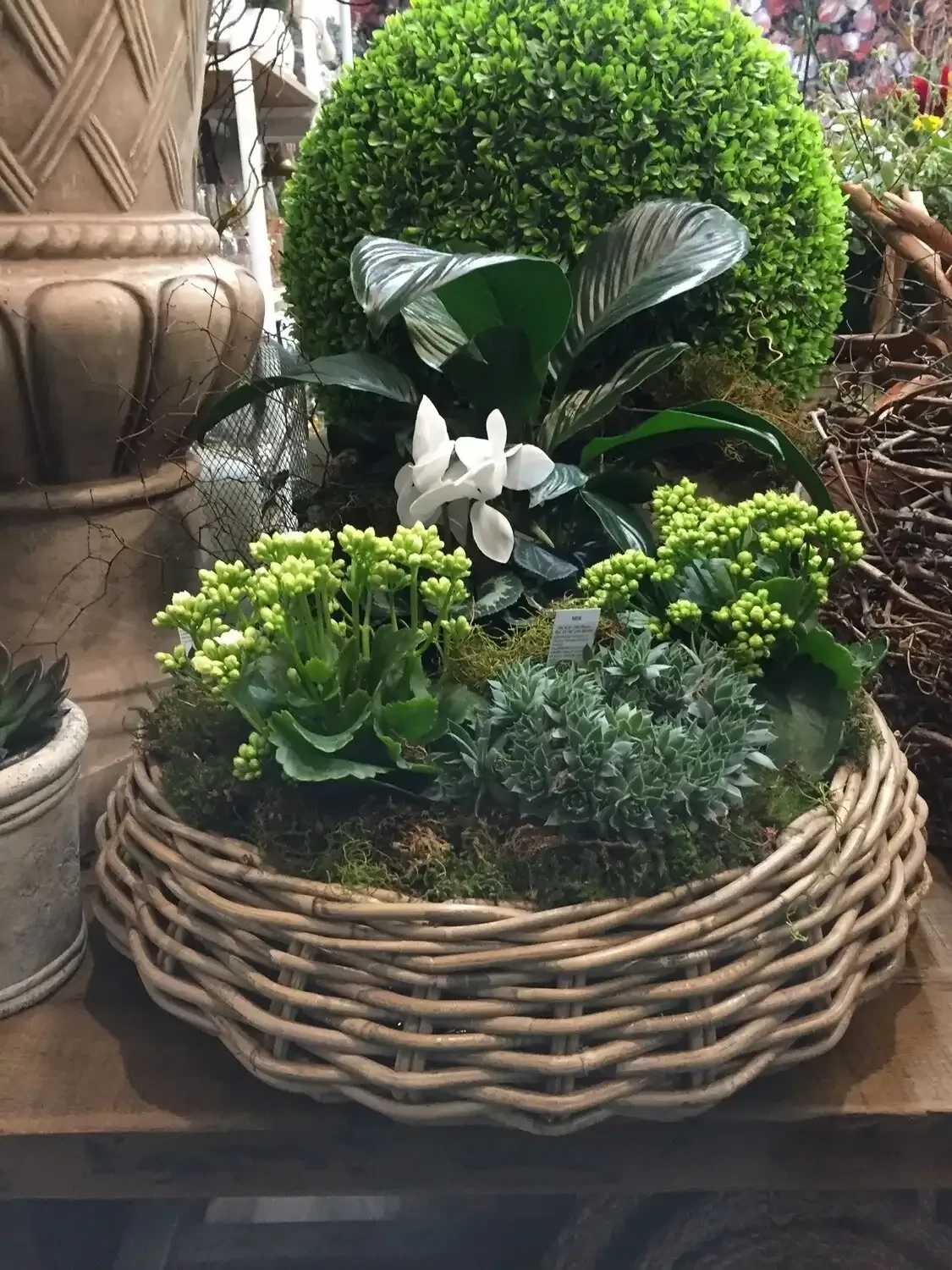 Planted Basket