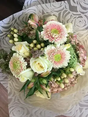 Posies