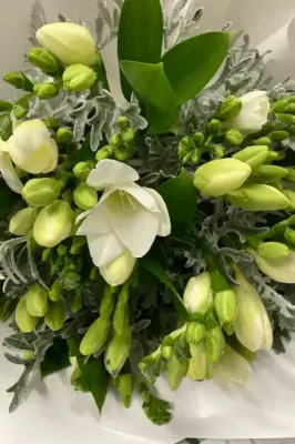 Freesia Posy Freesia Posy