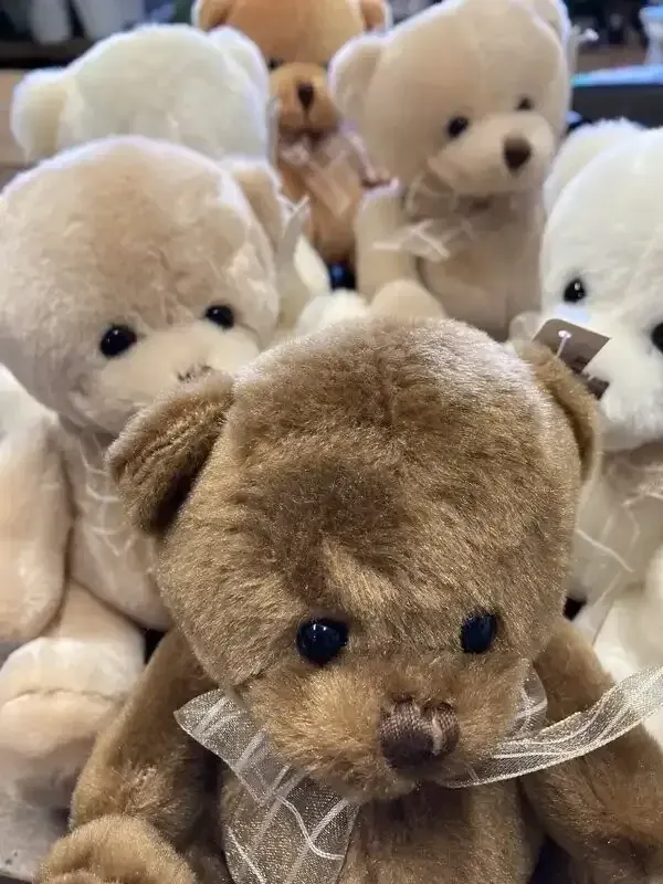Small Teddy Bear