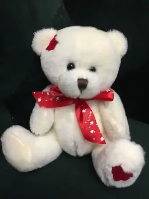 White Teddy Bear