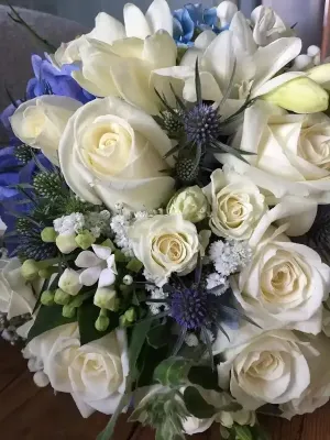 Whites and Blues