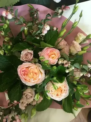 Romantic Pinks Romantic Pinks