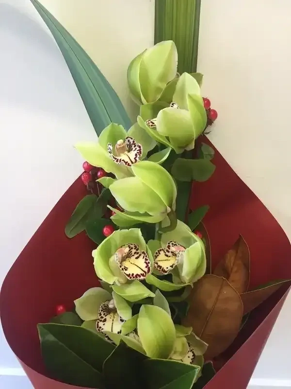 Orchid Stem