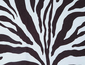 Zebra Fabric Swatch