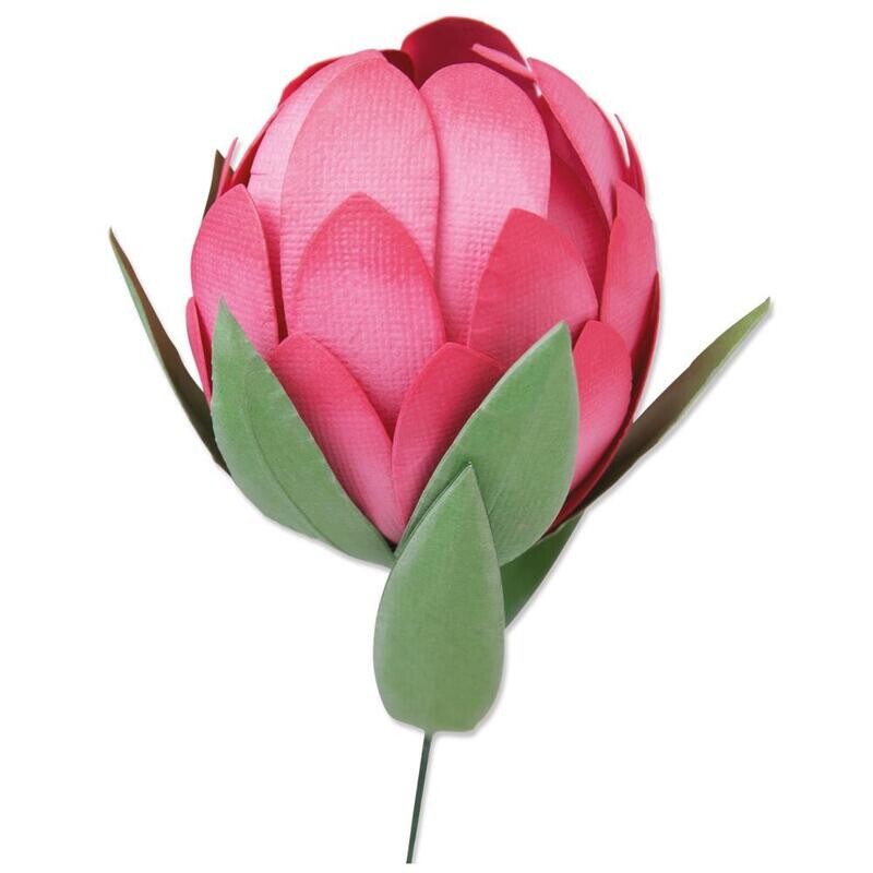 TROQUEL BIGZ PROTEA