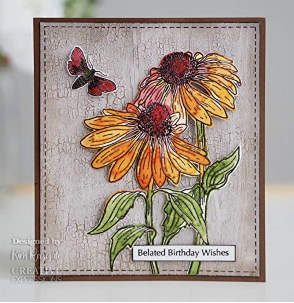 SELLO 4X6 EQUINACEA Y POLILLA