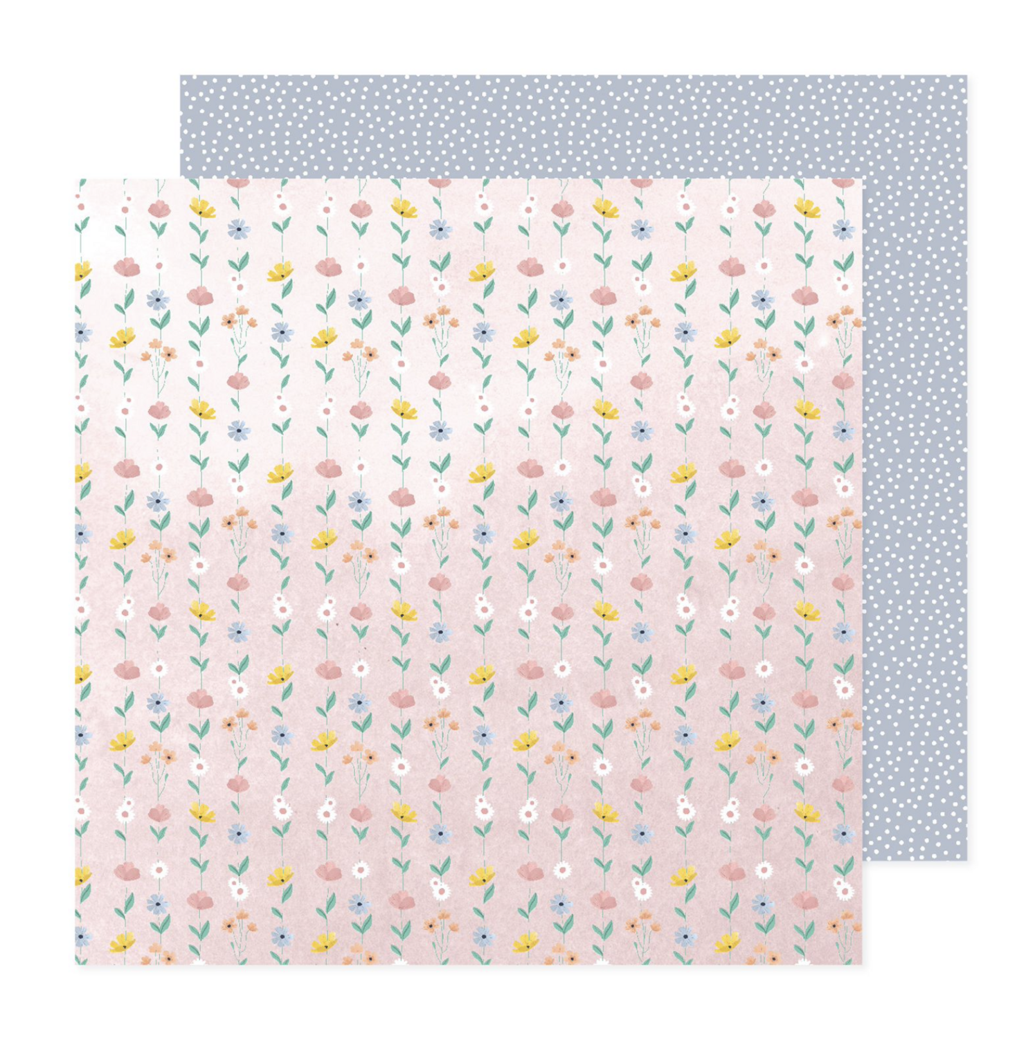 CHASING DREAMS, RAINBOW AVENUE