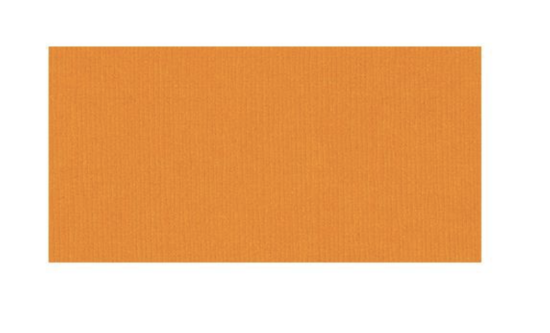 Bazzill Fourz Cardstock 12&quot;X12&quot;
Pastel de Zanahoria