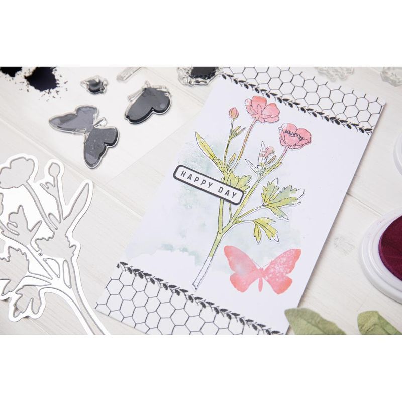 Sizzix Juego De Sellos Transparentes A5, 7 Unidades Con Troqueles Framelits, Lápiz Pintado Botánico De 49 And Market