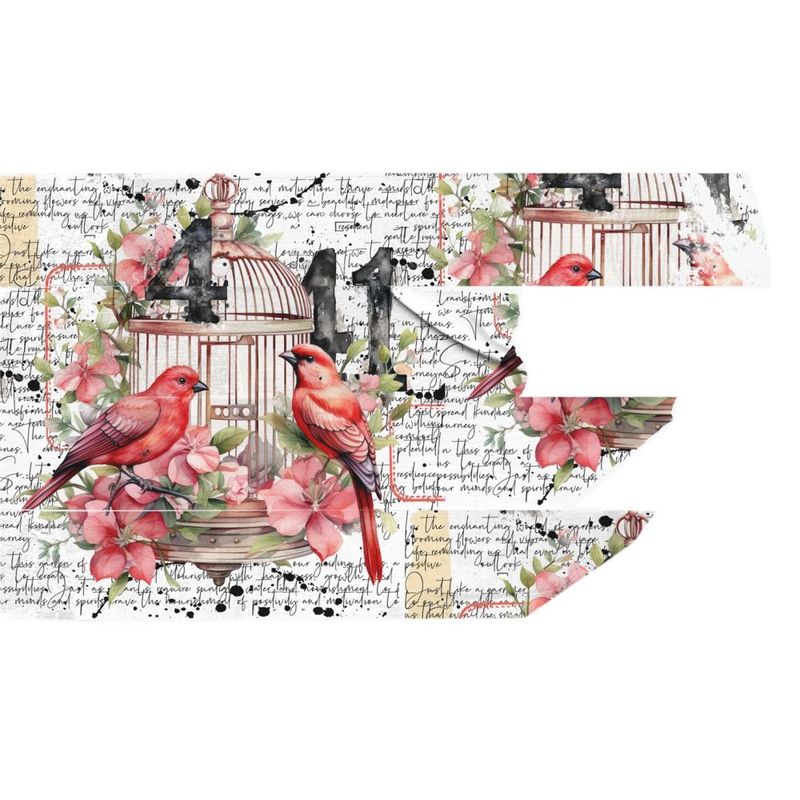 WASHI TAPE LIBERA LOS PÁJAROS