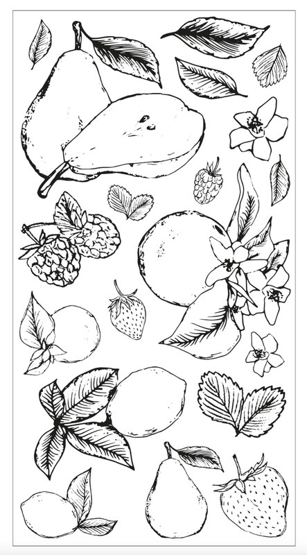 SET DE SELLOS BOTANICAL FRUITS (19 PIEZAS)  ideales para el accesorio Sizzix Stamp &amp; Spin