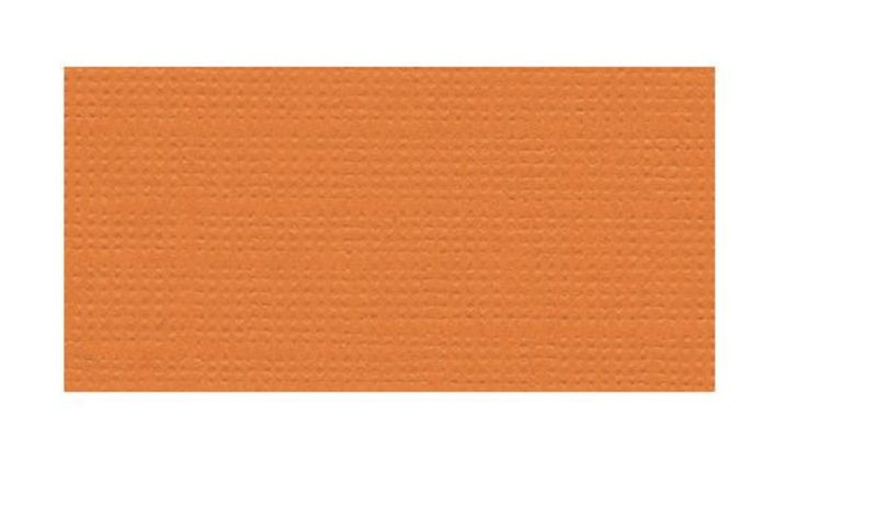 Bazzill Mono Cardstock 12"X12"
Naranja Bazzil / Canvas