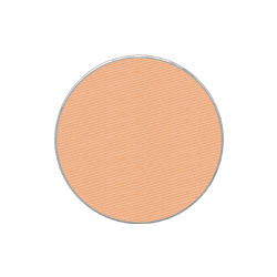 chanel powder blush 02 rose bronze