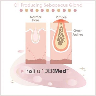 Featured Products
