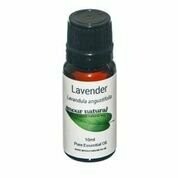 Lavender Essential Oil