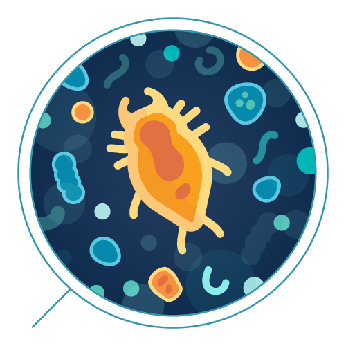 Analyse eau potable - Microbiologie