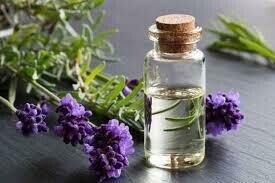 Repellent Essential Oil