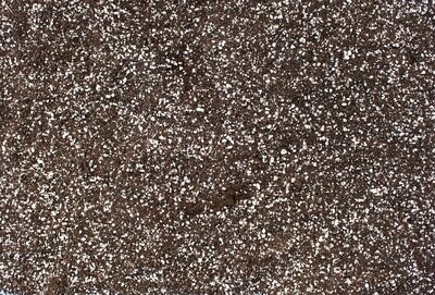 High Porosity Cocos