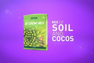 Bi Grow Mix