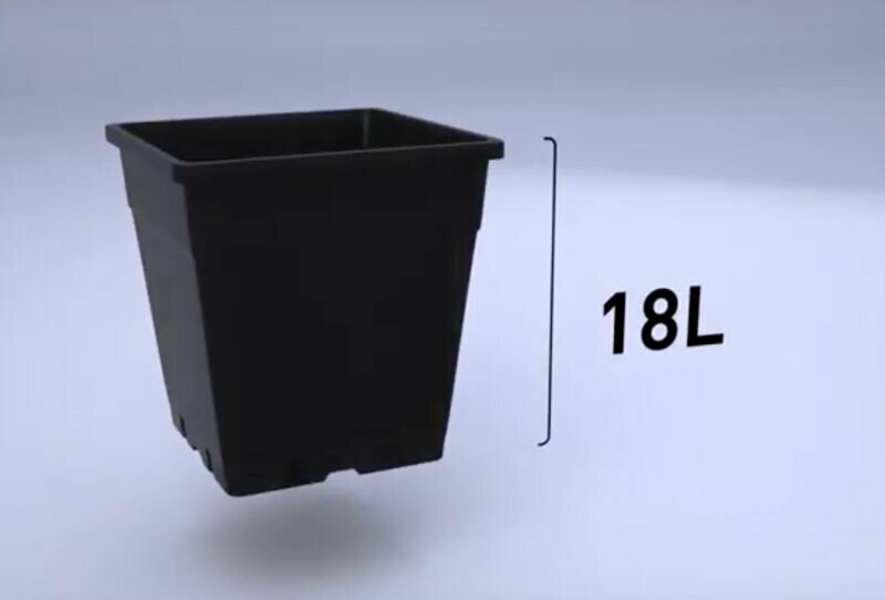 Wilma Large 4 Complete 18L