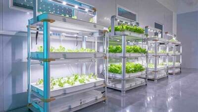 Hydroponic Systems
