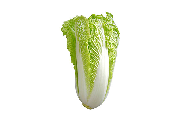 Michihili Chinese Cabbage