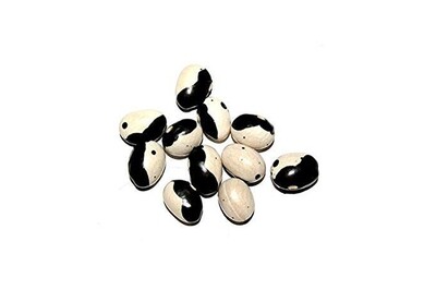 Black Troot Bean