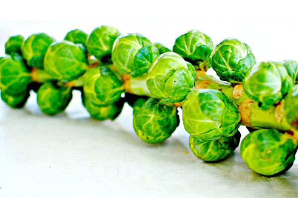 Long Island Brussels Sprouts Long Island Brussels Sprouts