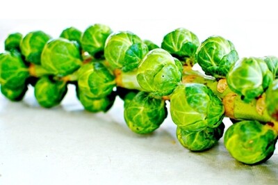 Long Island Brussels Sprouts