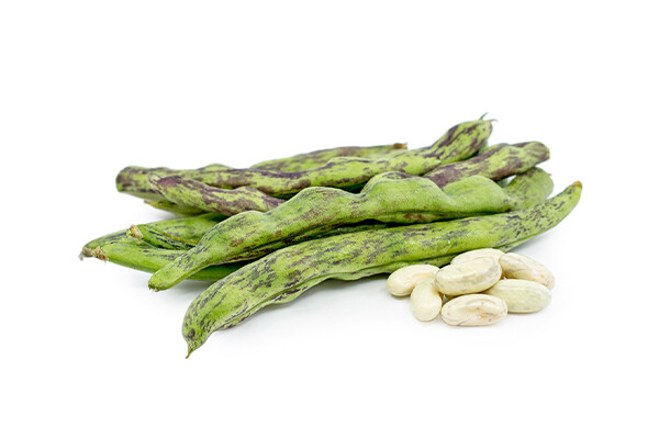 Australian Rattlesnake Beans Australian Rattlesnake Beans
