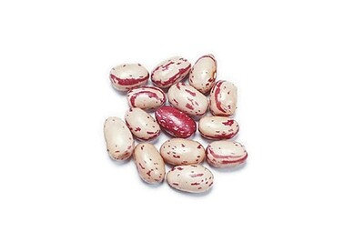 Canadian Cranberry
