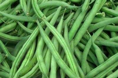 Eliminator Bean