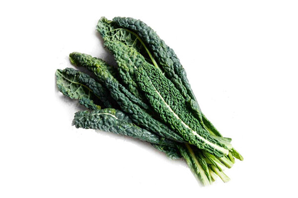 Black Palm Kale