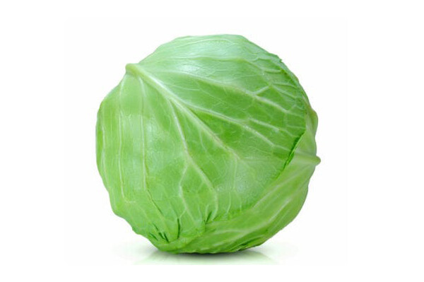 Danish Ballhead Cabbage