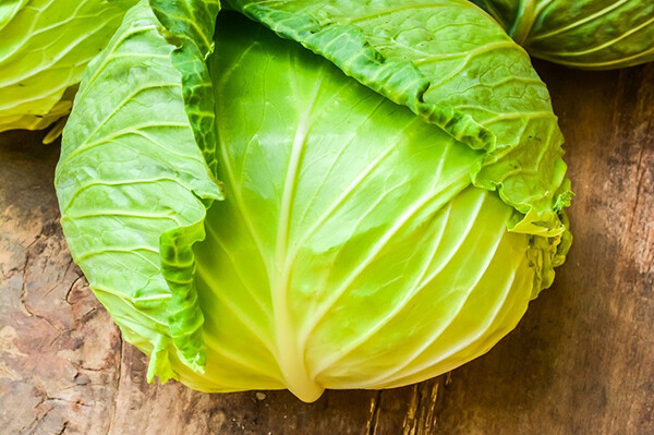 Brunswick Cabbage