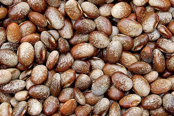 Turkey&#39;s Craw Bean