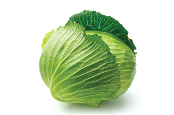 Copenhagen Market Cabbage