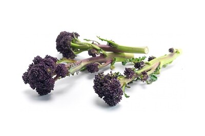 Purple Sprouting Broccoli