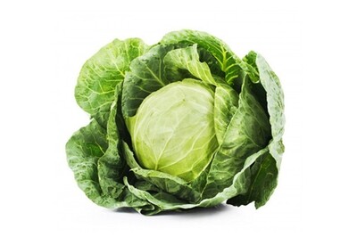 Golden Acre Cabbage