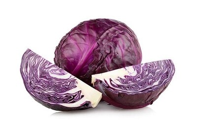 Mammoth Red Rock Cabbage