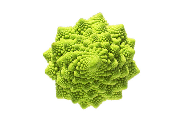 Romanesco Broccoli