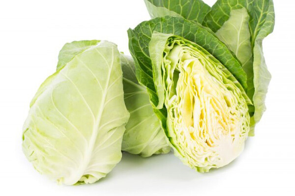 Sugarloaf Cabbage