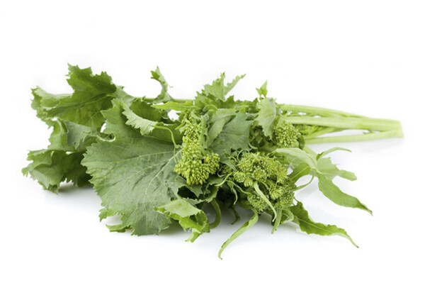 Spring Rapini Broccoli