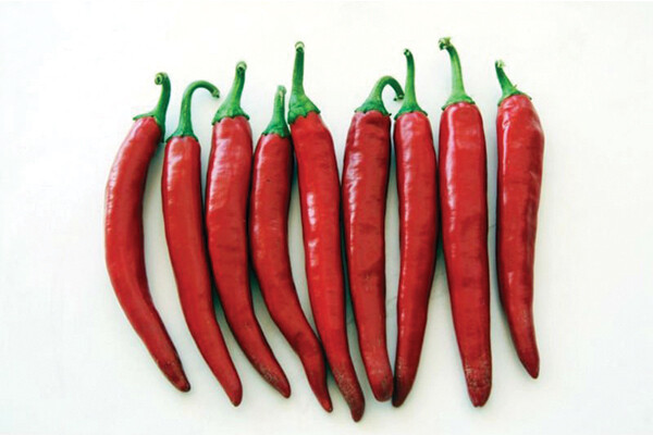 Nana&#39;s Indian Red