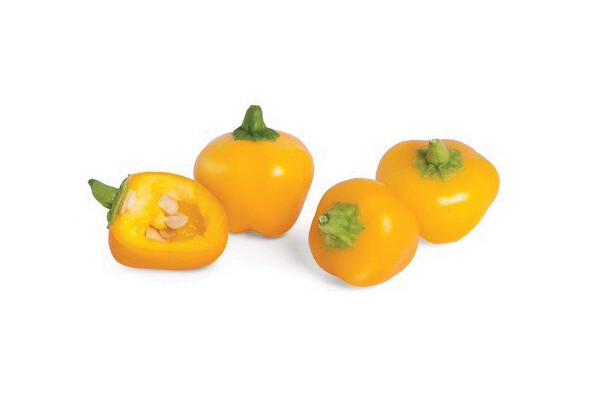 Mini Yellow Pepper
