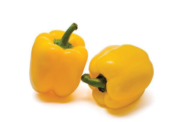 Golden Cali Wonder Sweet Pepper