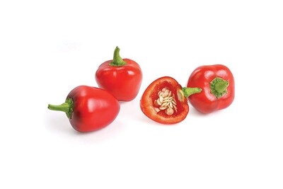 Mini Red Pepper