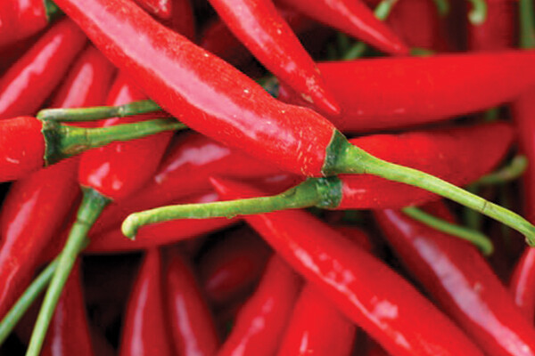 West Park Bird&#39;s Eye